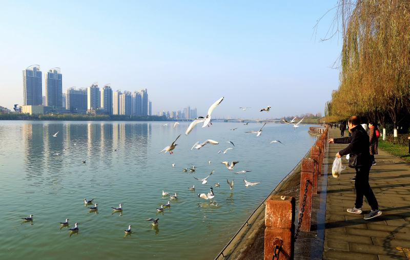 依托全域旅游 汉中将打造中国旅居生活城市