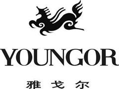雅戈尔拟出资20亿设立上海公司 通过并购等方式发展地产业务