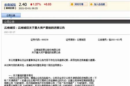 云南城投11家银泰系标30亿资产 北京银泰、康旅集团确定接盘