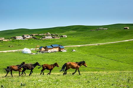 新疆首支10亿文旅产业基金成立 涉文化旅游、消费升级等